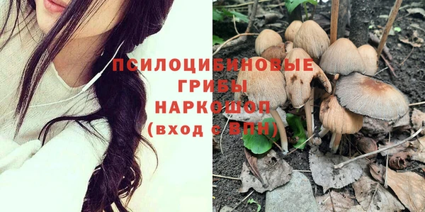 стафф Аркадак
