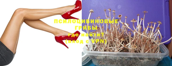 прущие грибы Армянск