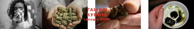 прущие грибы Армянск