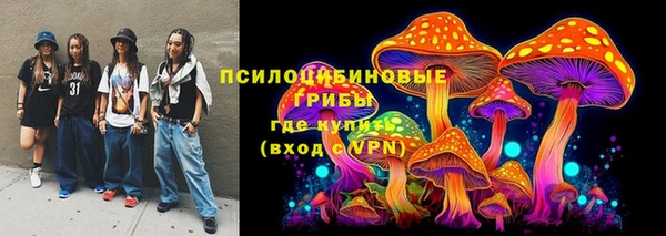 стафф Аркадак