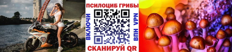 Галлюциногенные грибы прущие грибы  купить наркотики сайты  Хилок 